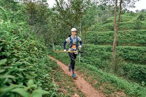 BIB: 
                            <button type="button" onclick="openModal(24878986)" class="btn btn-primary btn-sm float-right btn-popup" data-toggle="modal" data-target=".modal-high-quality">
                        <i class="fas fa-shopping-cart"></i> Add to Cart
                    </button>
                                            <button type="button" onclick="isThisMe(24878986, true)" class="btn btn-success btn-sm float-right btn-popup btn-isme hidden" data-toggle="tooltip" data-placement="bottom" title="นี่คือรูปของคุณใช่ไหม คลิกที่นี่เพื่อเอาเข้าอัลบั้ม">
                        <i class="fas fa-plus"></i> Add to album
                    </button>
                    <button type="button" onclick="isThisMe(24878986, false)" class="btn btn-warning btn-sm float-right btn-popup btn-isnotme hidden">
                        <i class="fas fa-ban"></i> Remove from album
                    </button>